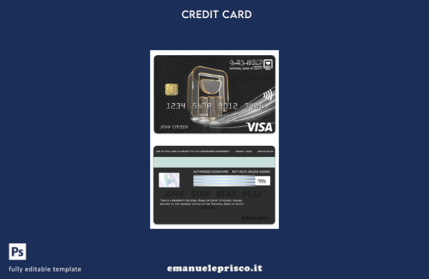 modello di carta platino visto della Banca Nazionale d'Egitto in stile verificat